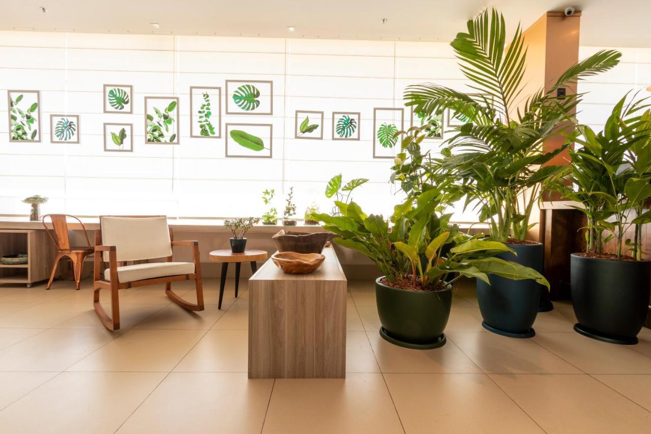 Ibis Styles Curitiba Aeroporto Hotel Sao Jose dos Pinhais Bagian luar foto